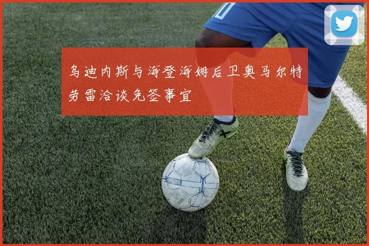 乌迪内斯与海登海姆后卫奥马尔特劳雷洽谈免签事宜